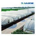 Green house agriculture productive greenhouse for mushroom